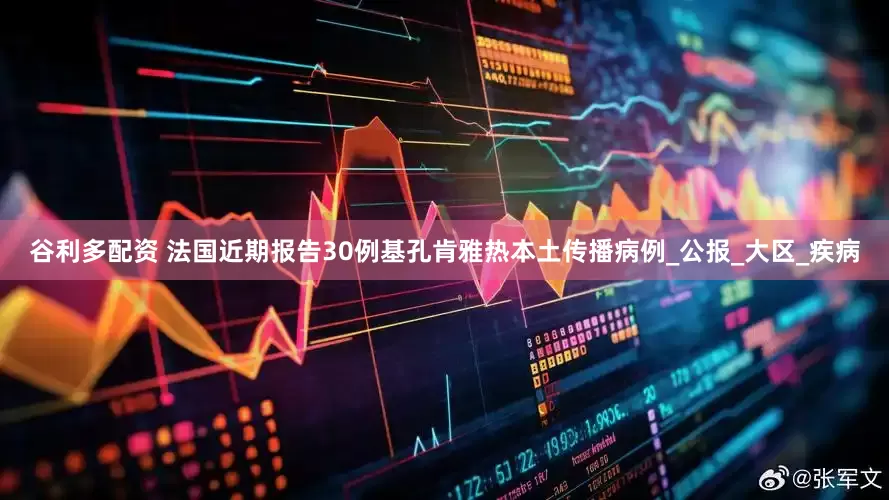 谷利多配资 法国近期报告30例基孔肯雅热本土传播病例_公报_大区_疾病